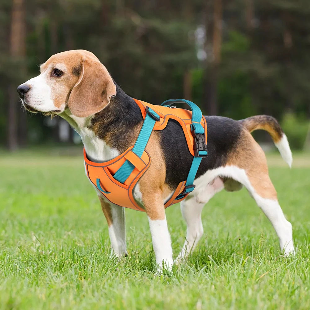 Harnais Respirant Anti-Traction – Sécurité & Confort Quotidien 🐶💛