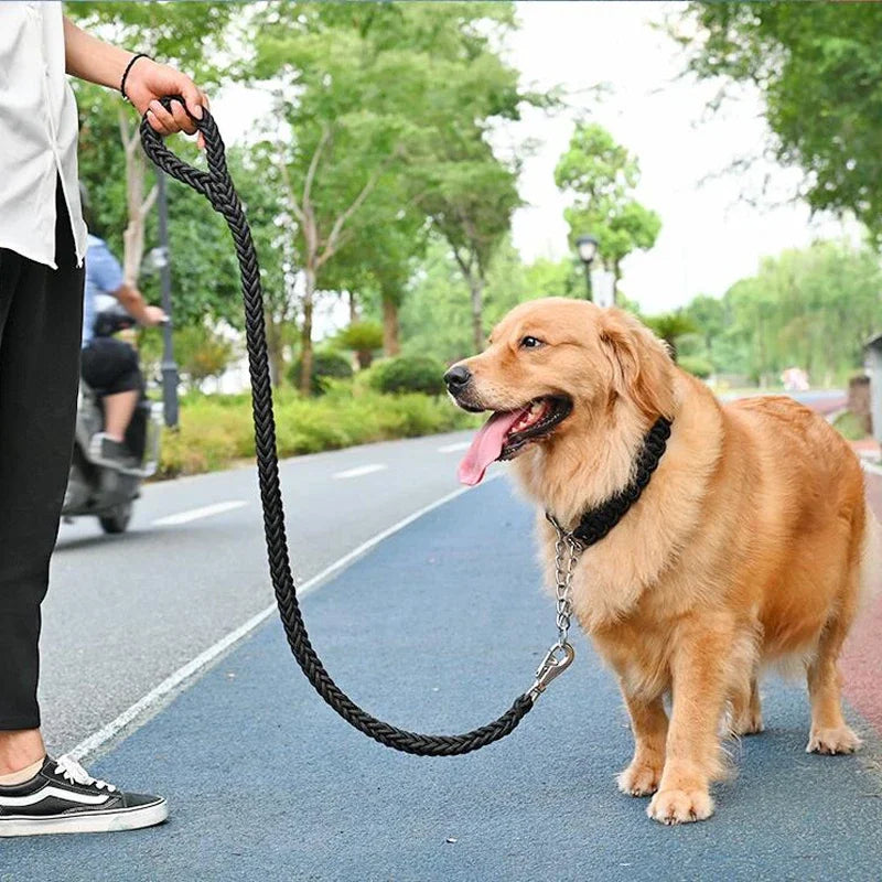 Laisse Corde Tressée Ultra-Résistante – Puissance & Contrôle Absolu 🐕🦺💪💛