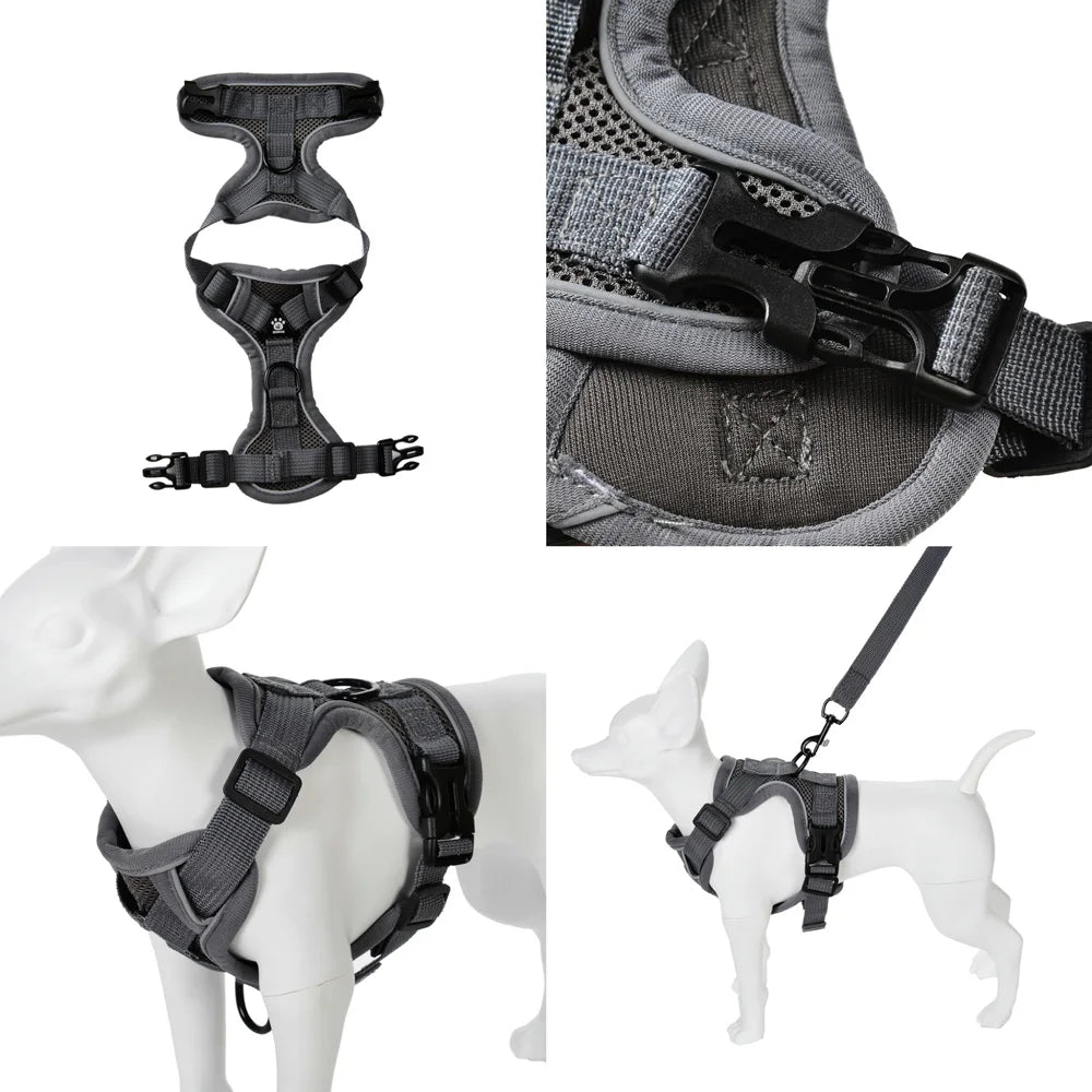 Harnais Réfléchissant Randonnée + Laisse – Sécurité & Confort Actif 🐶💛