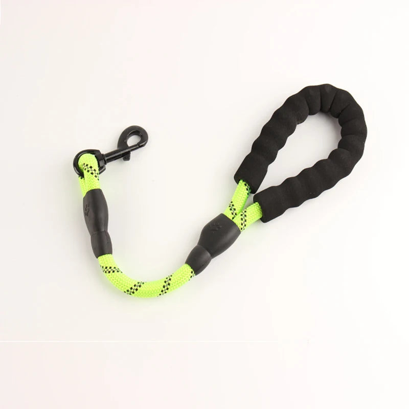 Reflective Bungee Leash – Comfort & Shock-Free Control 🐶💛