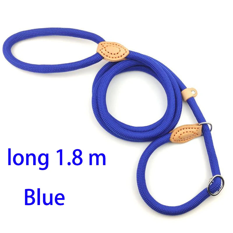 Adjustable Harness & Leash – Optimal Control & Comfort 🐶💪