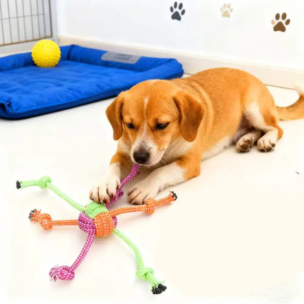 Jouet Corde Mini Résistant – Jeu & Santé Dentaire 🐶🪢💛