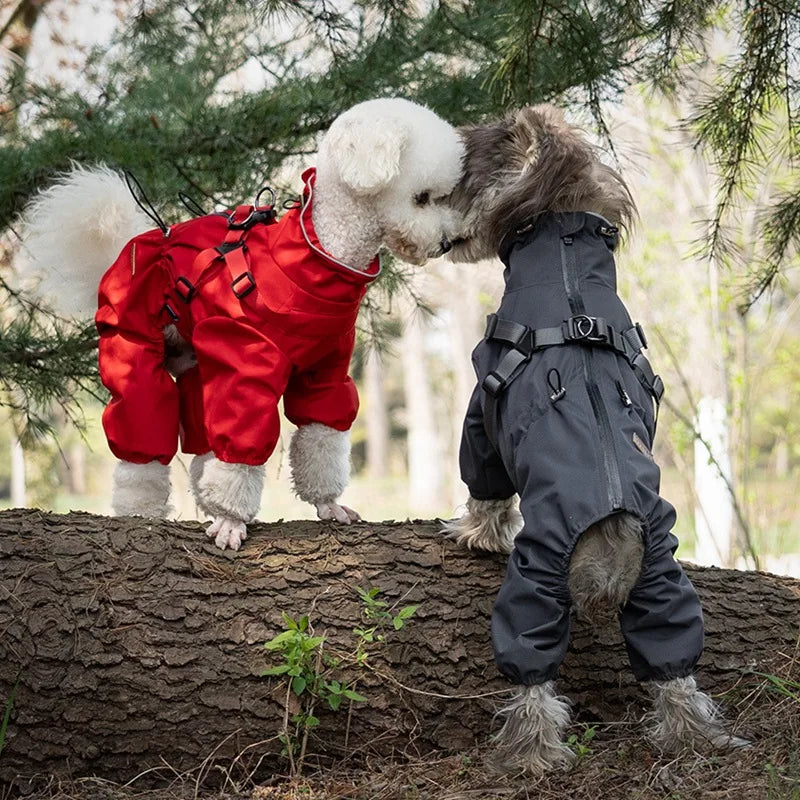 Imperméable 4 Pattes avec Harnais – Protection Totale Sous la Pluie 🌧️🐶💛