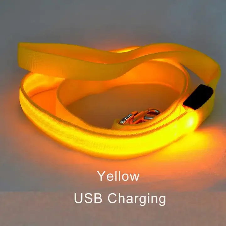 LED Luminous Leash – Night Visibility & Safety 🌙✨🐶