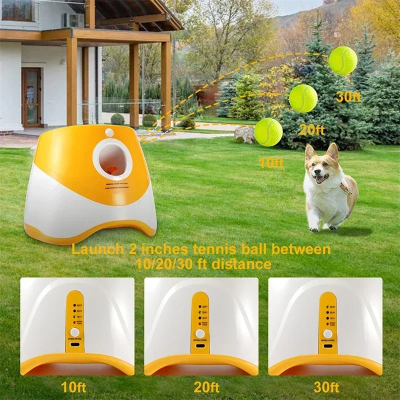 Automatic Ball Launcher - Endless Play & Total Freedom 🎾⚡