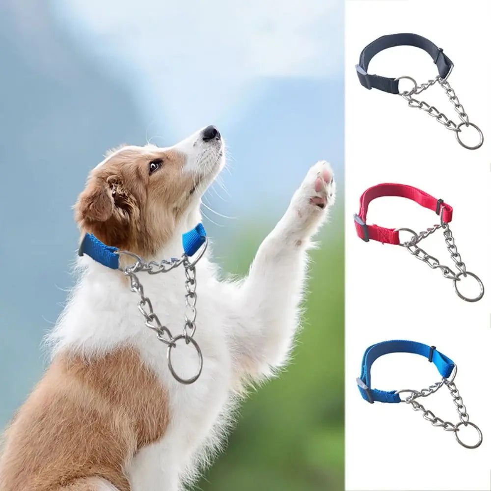 Reinforced Training Collar – Optimal Control & Safety 🐶💛