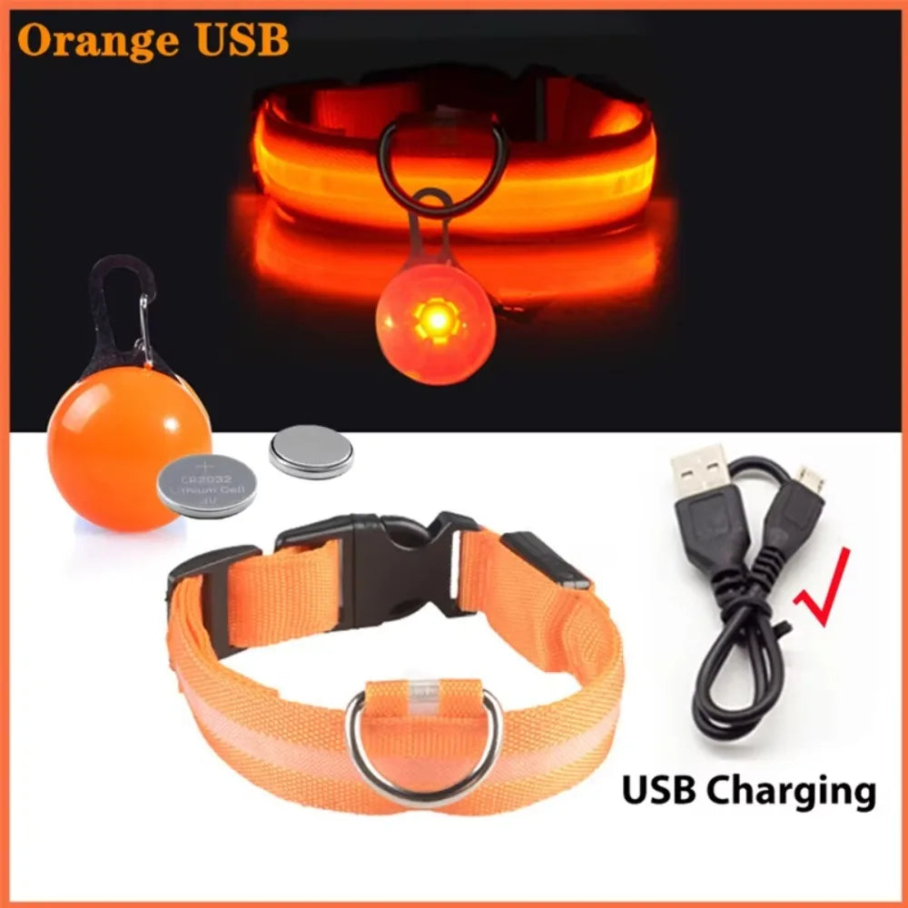 Rechargeable LED Collar – Night Visibility & Safety 🌙✨