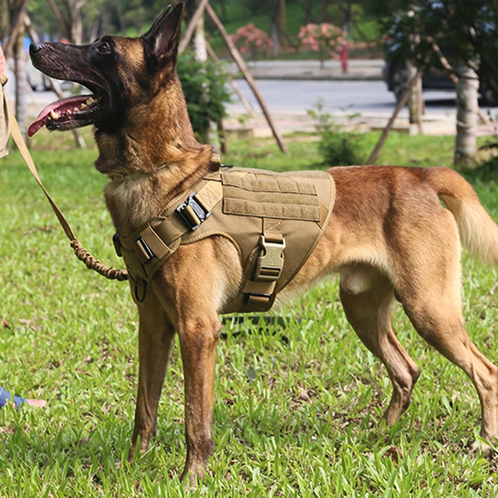 Reinforced Nylon Tactical Harness – Maximum Control & Durability 🐕💪