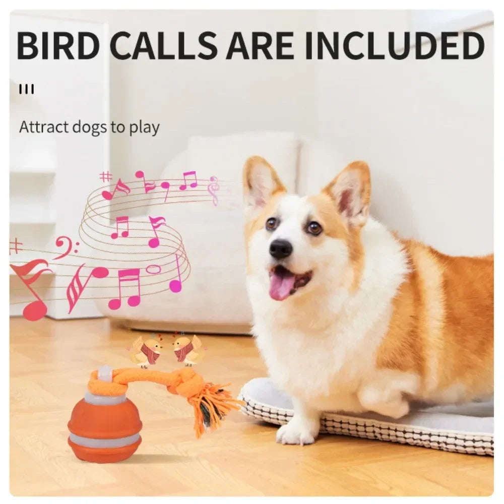 Balle Interactive Intelligente – Jeu Automatique & Anti-Ennui 🐶⚡