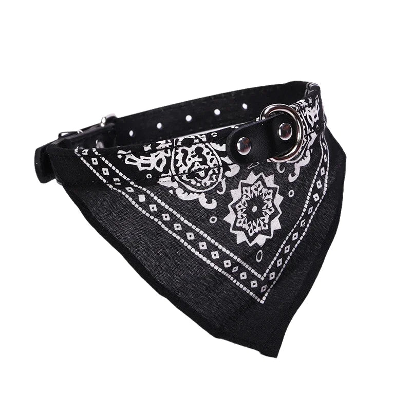 Elegant Collar with Scarf for Dogs & Cats