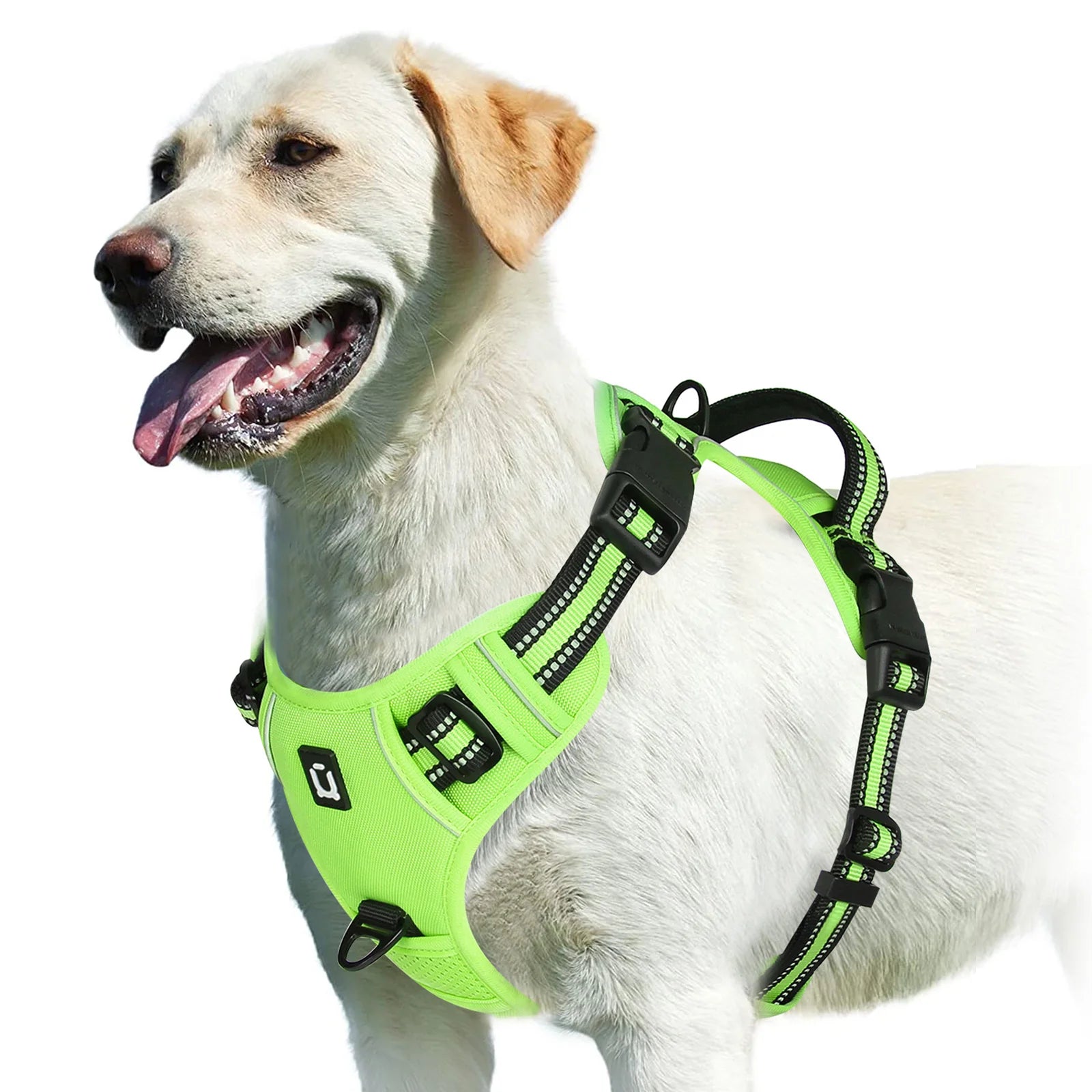 Padded No-Pull Harness – Optimal Control & Comfort 🐶💛