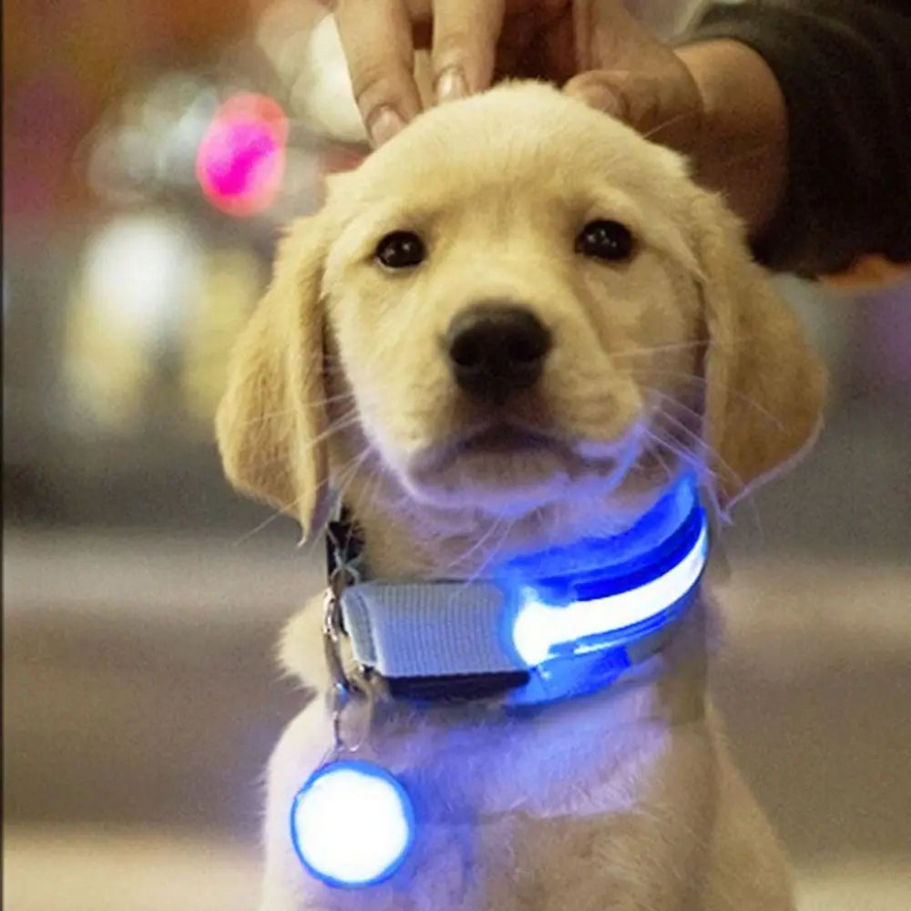Rechargeable LED Collar – Night Visibility & Safety 🌙✨