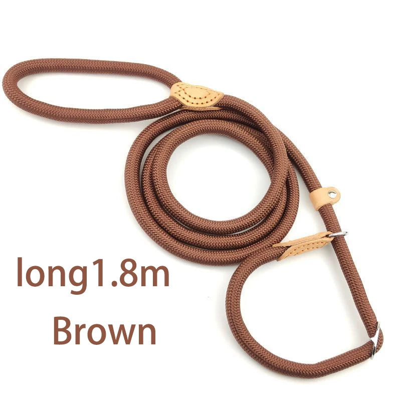 Adjustable Harness & Leash – Optimal Control & Comfort 🐶💪