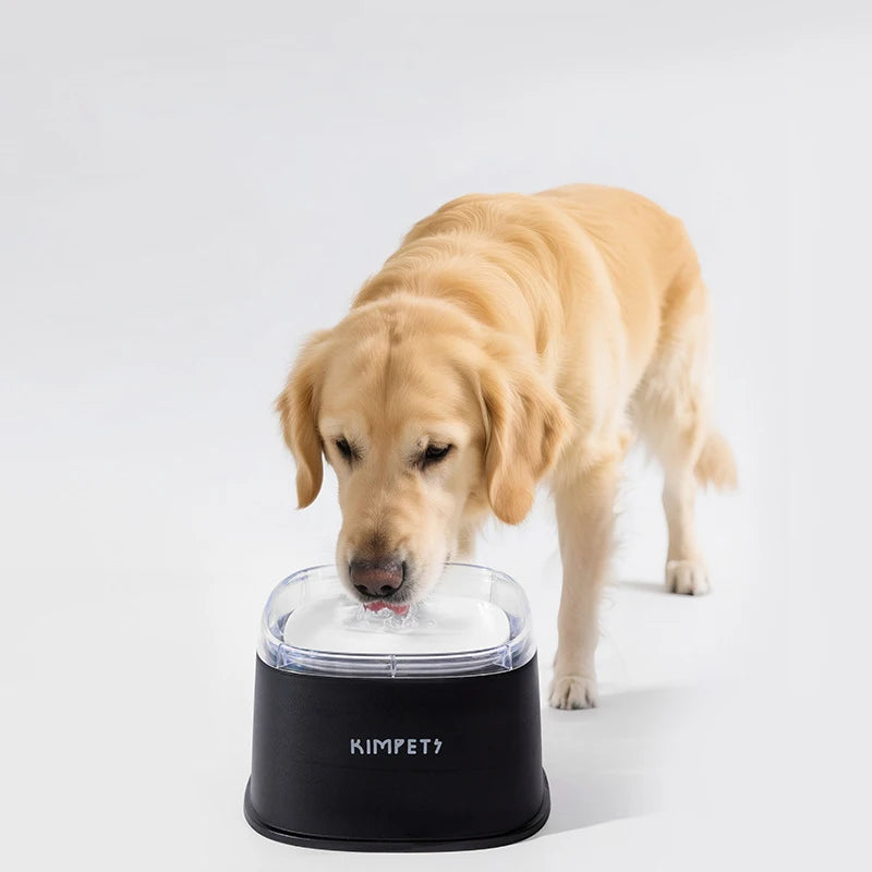 Bol Anti-Débordement 2L – Hydratation Propre & Boire en Douceur 🐶💛