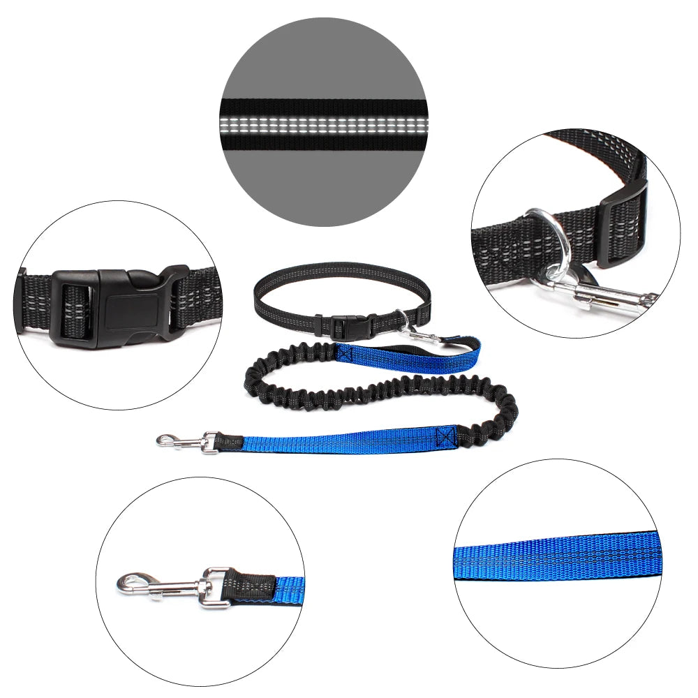 Comfort+ Hands-Free Leash for Dogs – Shock-Absorbing, Reflective & Adjustable 🐶🏃‍♂️💛