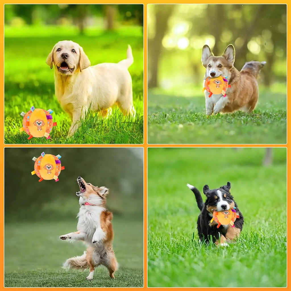 Balle Sonore Douce – Jeu & Stimulation Interactive 🔔🐶💛