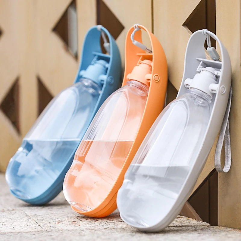 Portable Foldable Bottle – Easy Hydration Anywhere 🐶💧
