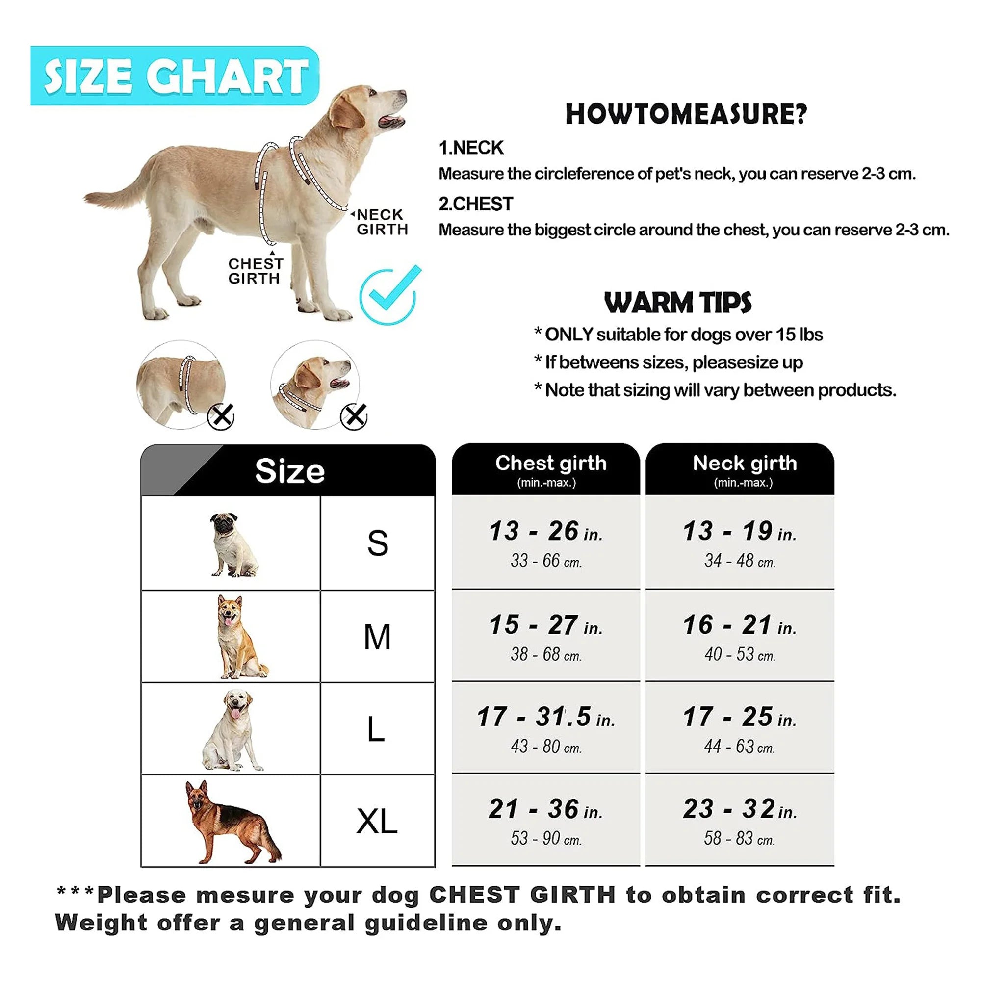 Padded No-Pull Harness – Optimal Control & Comfort 🐶💛