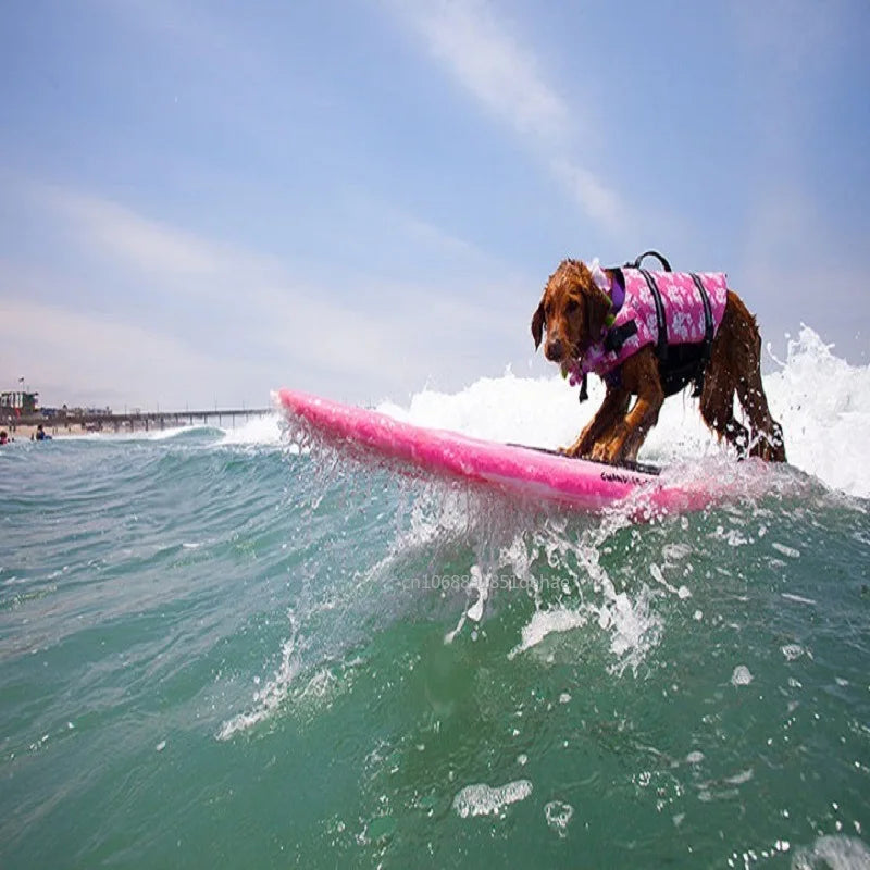Gilet de Sauvetage Requin pour Chien – Flottabilité & Visibilité Maximale 🐶🦈🌊💛