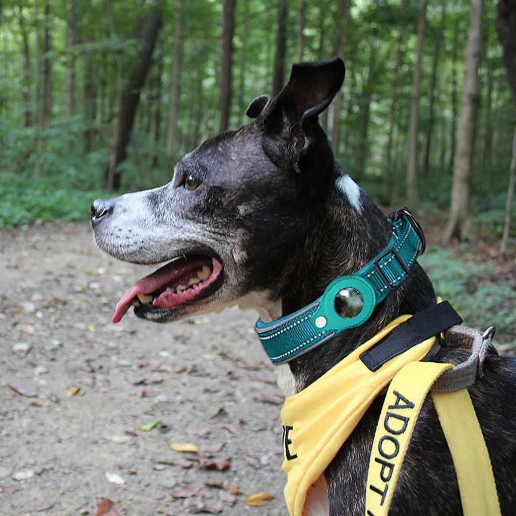 Collier AirTag Sécurisé Réfléchissant – Suivi & Protection Totale 🐶💛
