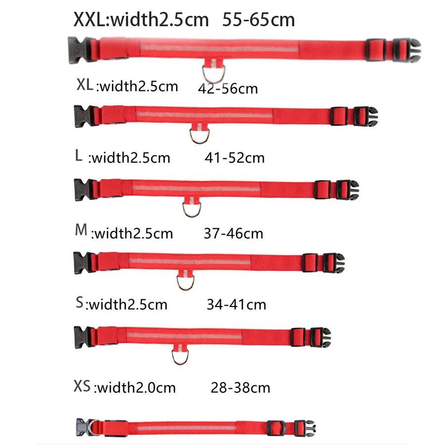 USB Rechargeable LED Collar – Maximum Visibility & Night Safety