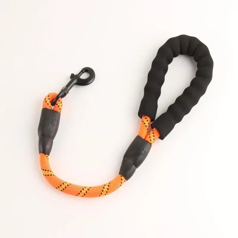 Reflective Bungee Leash – Comfort & Shock-Free Control 🐶💛