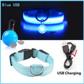 USB Rechargeable LED Light-Up Dog Collar – Night Safety