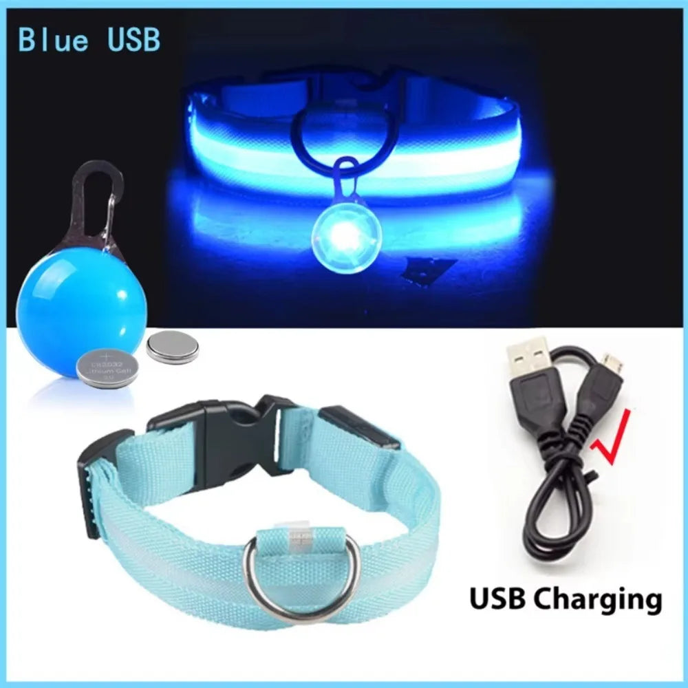 USB Rechargeable LED Light-Up Dog Collar – Night Safety