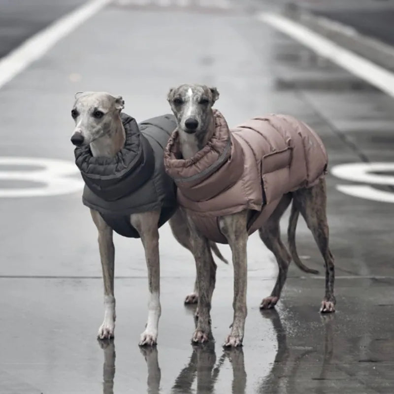 Windproof Winter Dog Jacket – Ultra Warm & Comfortable