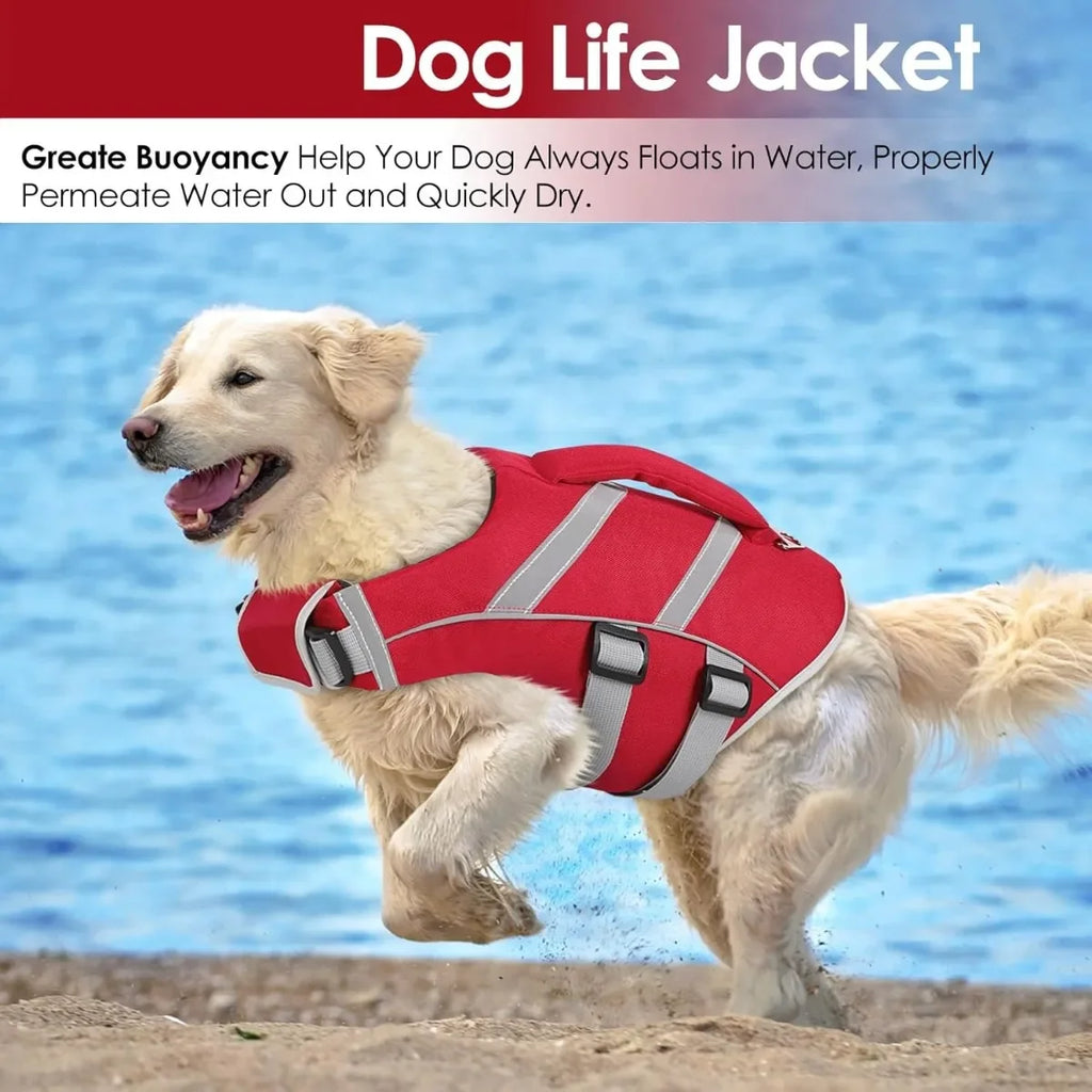 Gilet de Sauvetage pour Chien – Flottabilité & Sécurité Maximale 🐶🌊🦈💛