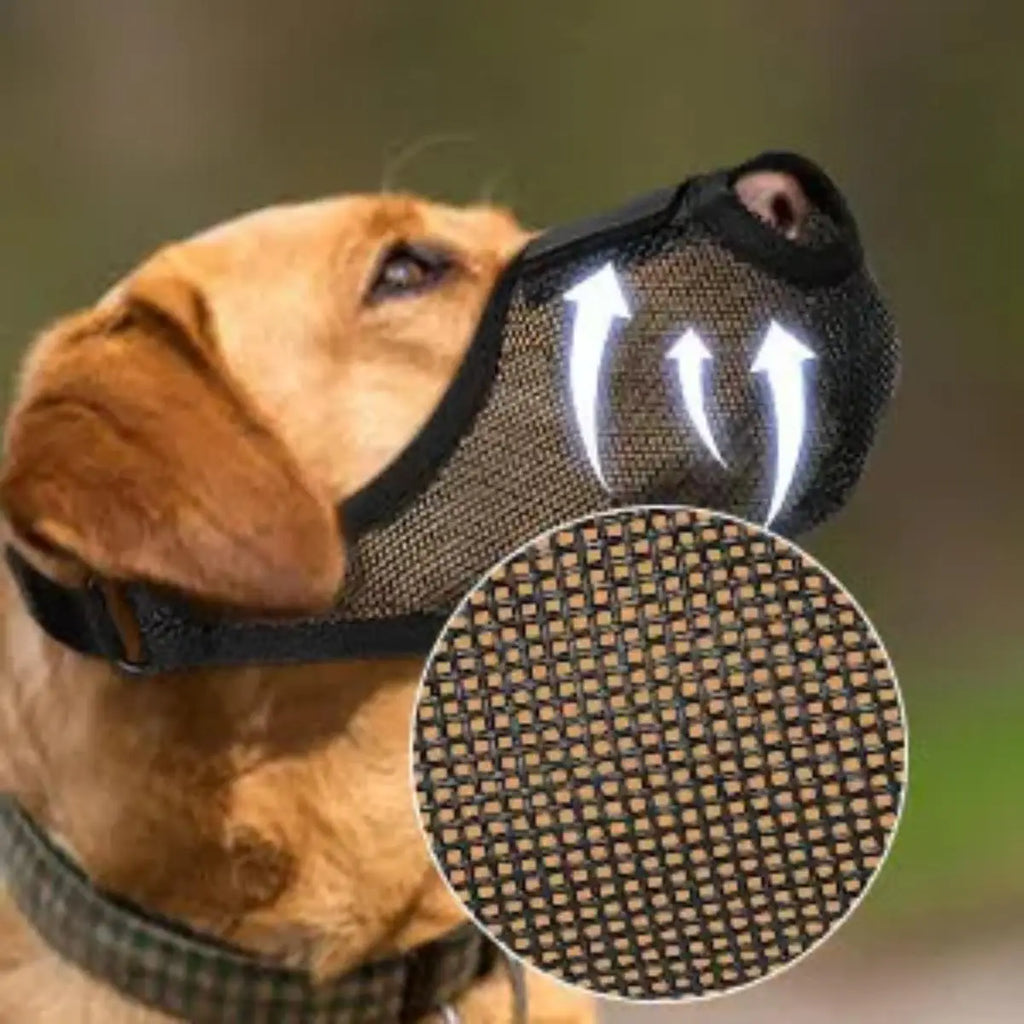 Museau Maille Respirante – Sécurité & Confort Quotidien 🐶🛑