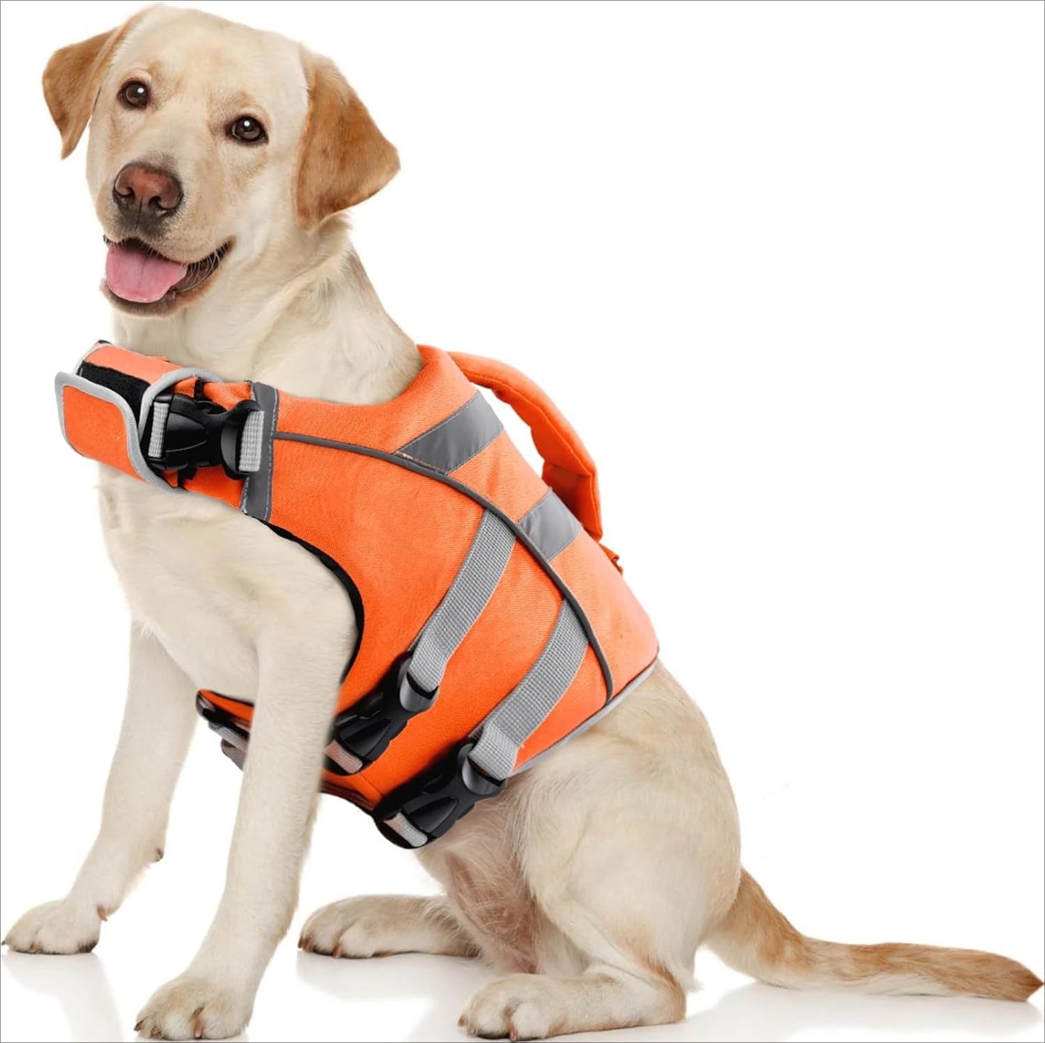 Dog Life Vest – Maximum Buoyancy & Safety 🐶🌊🦈💛