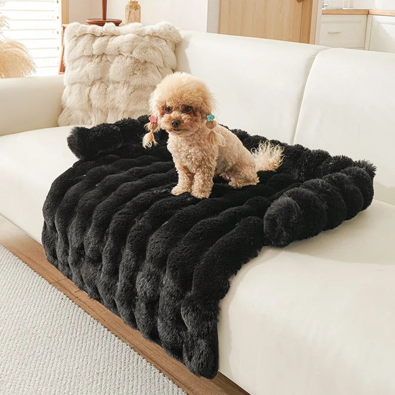Luxury Faux Fur Rug – Royal Comfort & Extreme Softness 🐶💛