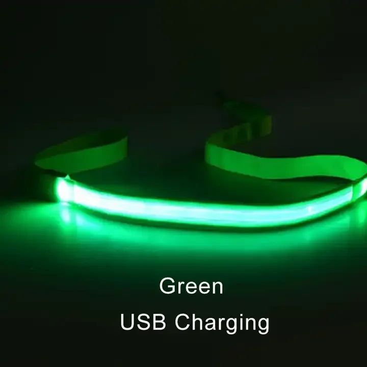 LED Luminous Leash – Night Visibility & Safety 🌙✨🐶