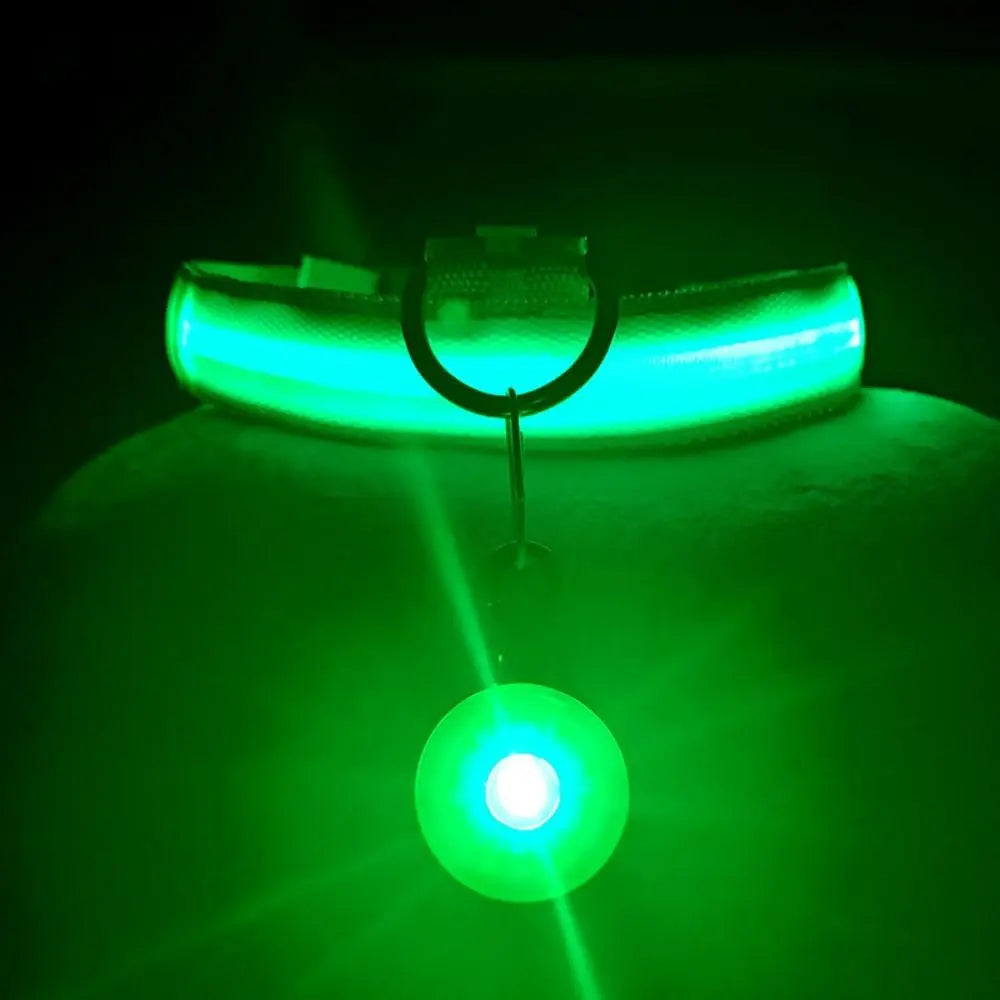 USB Rechargeable LED Light-Up Dog Collar – Night Safety