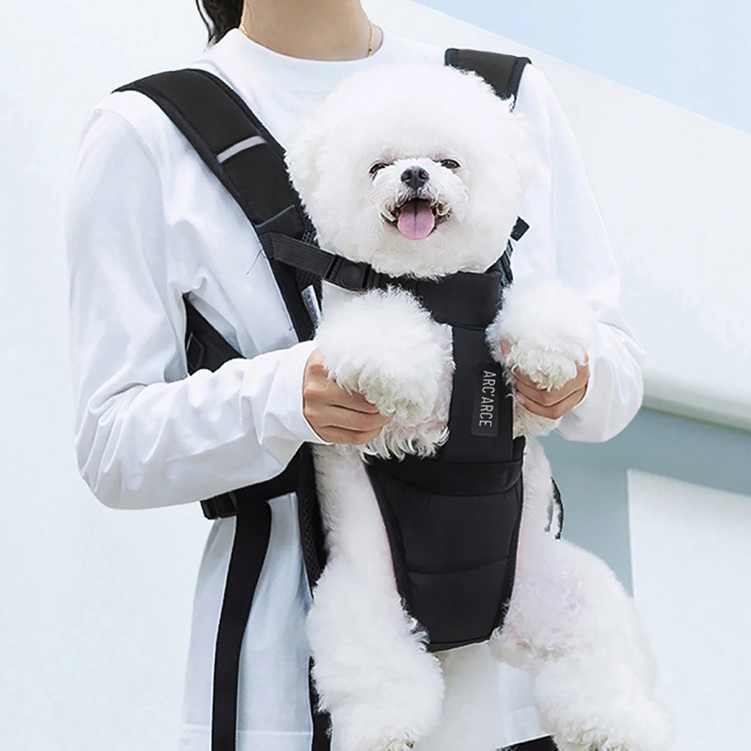 Confort+ Pet Carrier with Chest Strap – Safety & Total Freedom 🐶💛