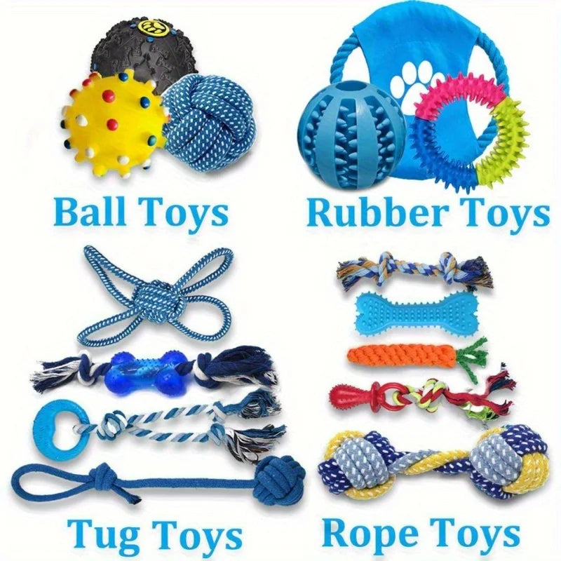 Ensemble 15 Jouets Résistants – Anti-Destruction & Amusement Infini 🐶🎾💛