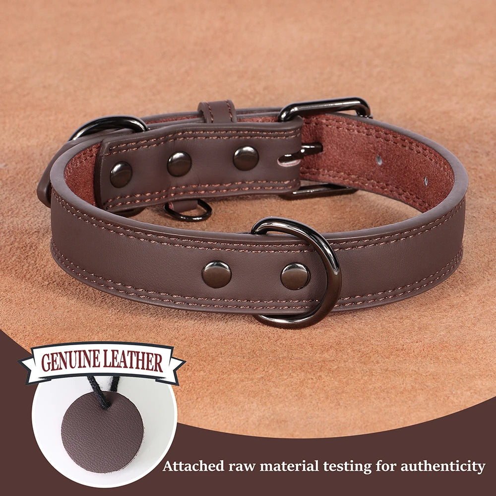 Leather Dog Collar – Premium Elegance & Comfort 🖤🐶