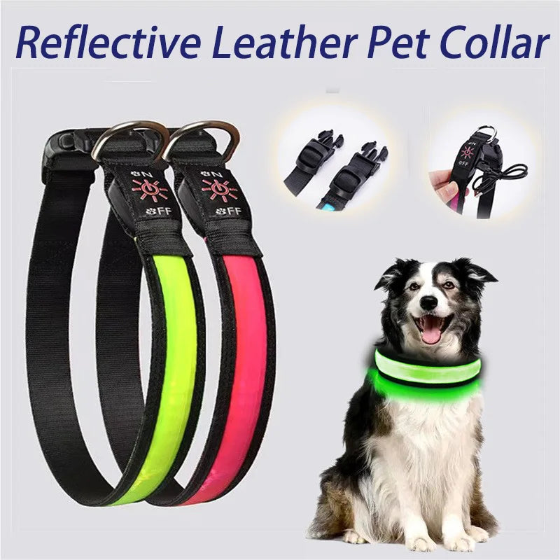 Collier LED Rechargeable – Visibilité 500m & Sécurité Nocturne 🌙🐶💛