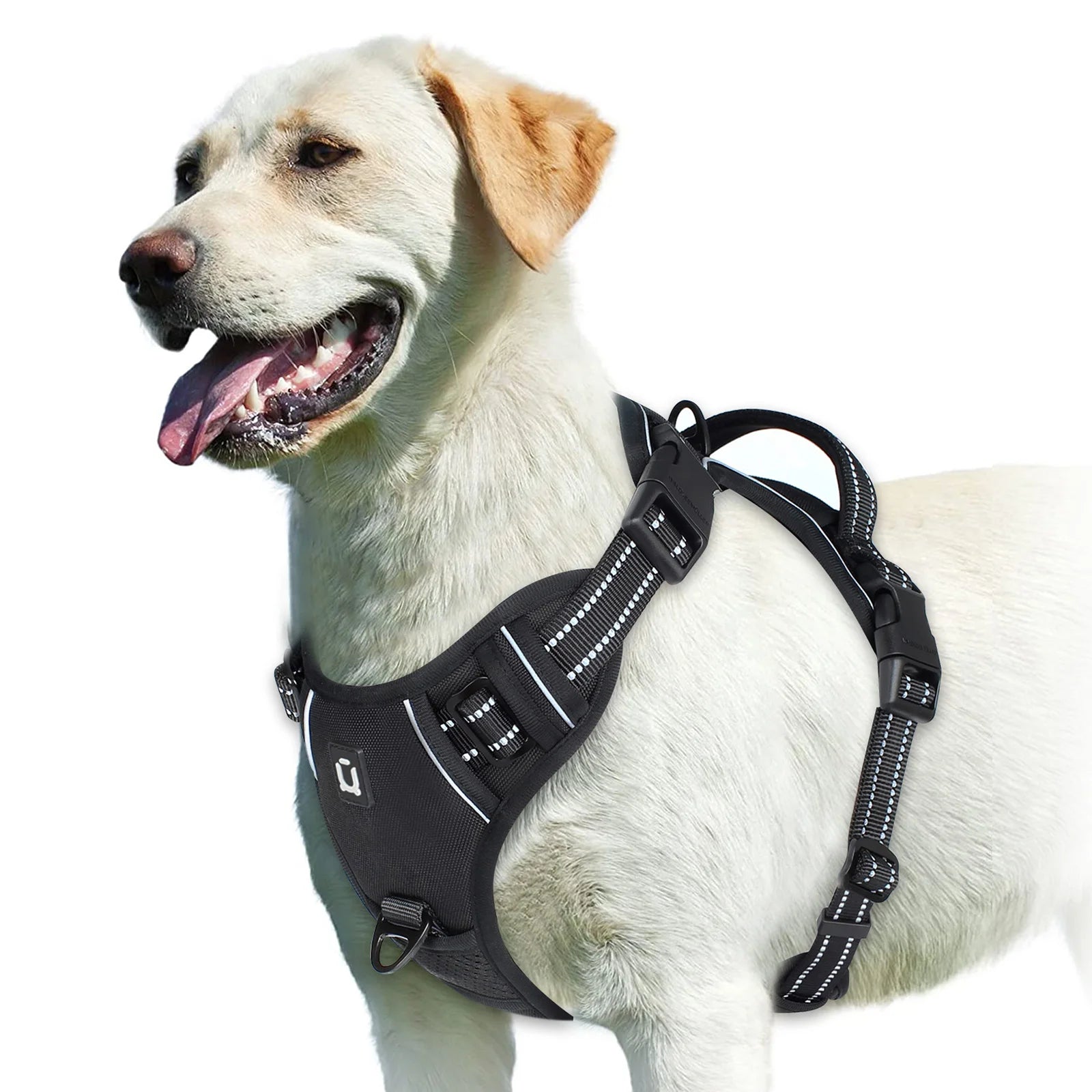 Padded No-Pull Harness – Optimal Control & Comfort 🐶💛