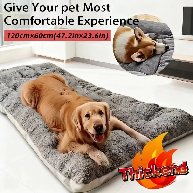 Coussin Douillet Confort+ – Lit Ultra Chaud & Apaisant pour Chien 🐶💛