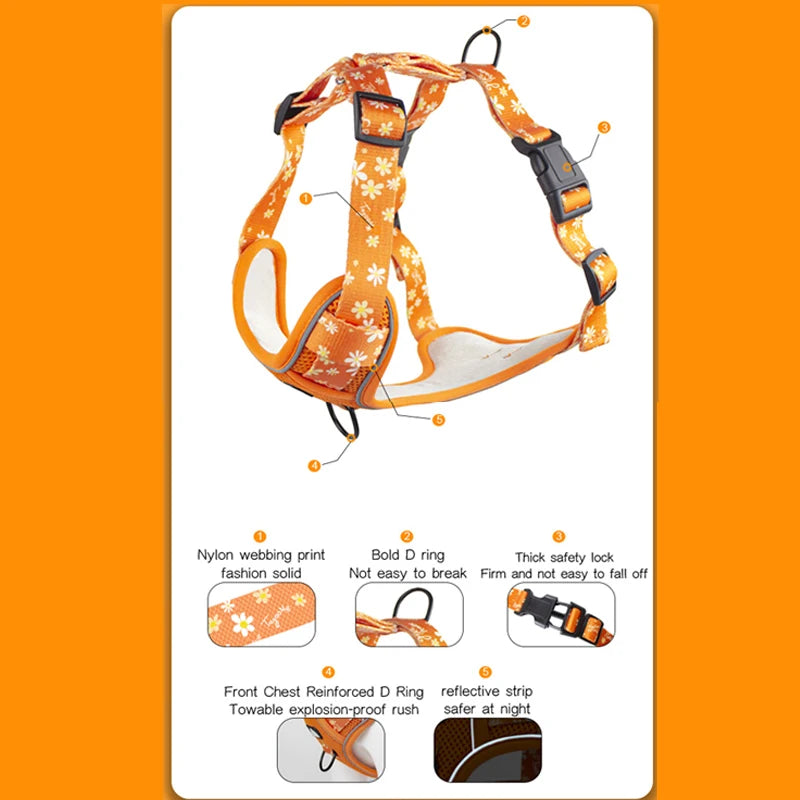 Harnais Confort+ Anti-Traction – Sécurité & Contrôle Premium 🐶💛
