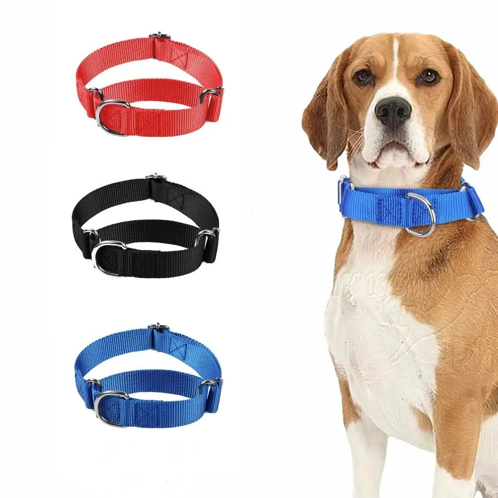 Collier Anti-Fugue Martingale – Contrôle Doux & Sécurité Totale 🐶💛