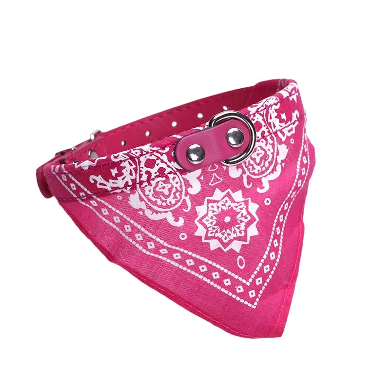 Elegant Collar with Scarf for Dogs & Cats