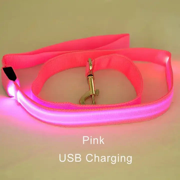 LED Luminous Leash – Night Visibility & Safety 🌙✨🐶
