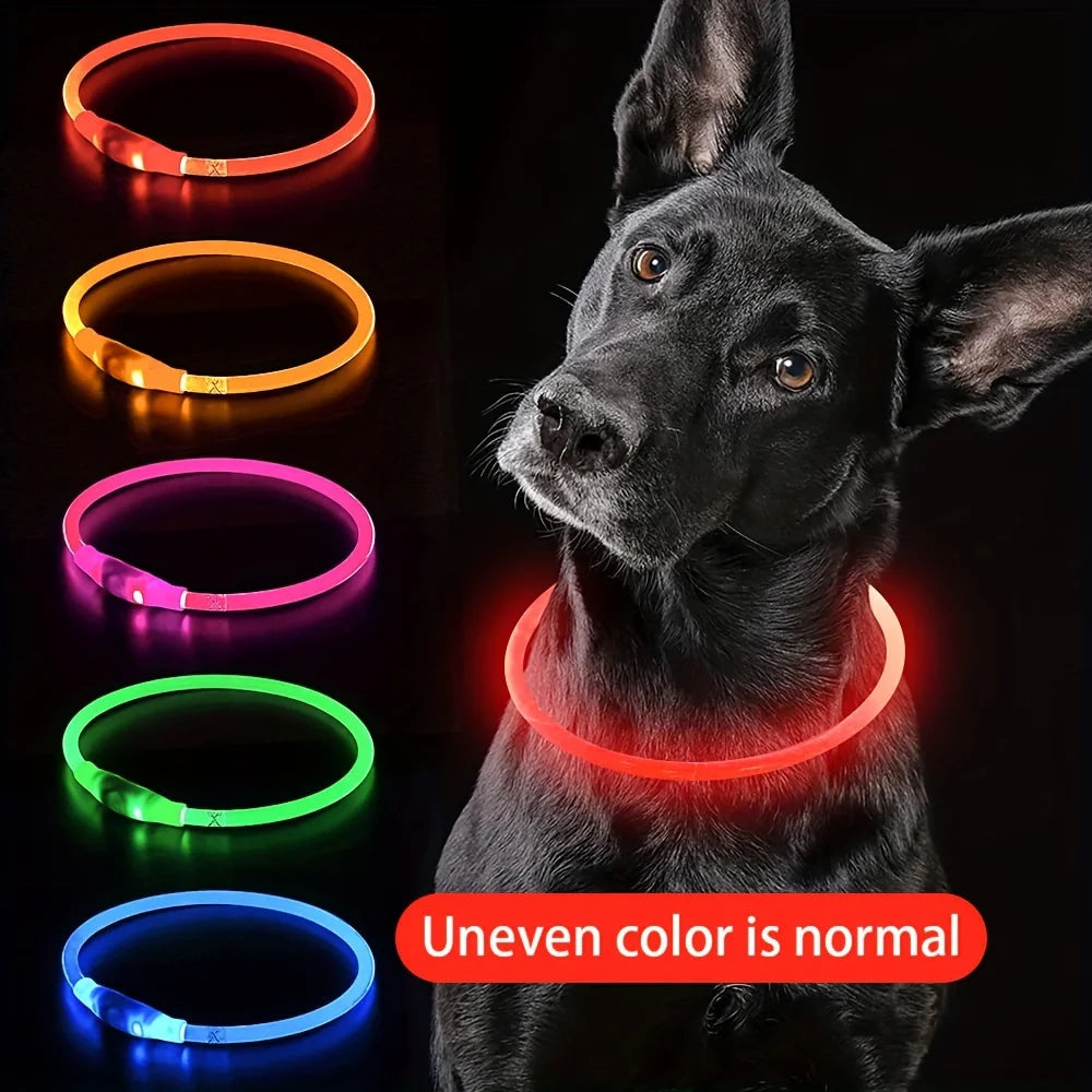 LED Light-Up Collar – Nighttime Safety & Visibility 🌙✨