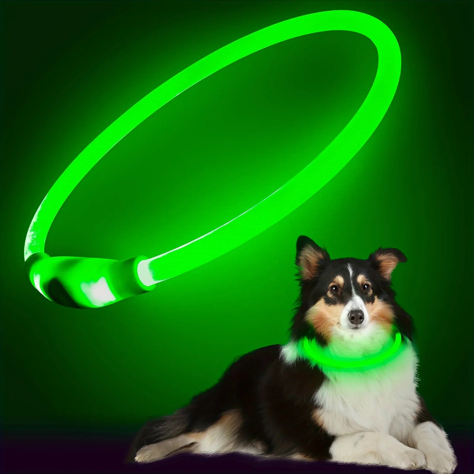 LED Light-Up Collar – Nighttime Safety & Visibility 🌙✨
