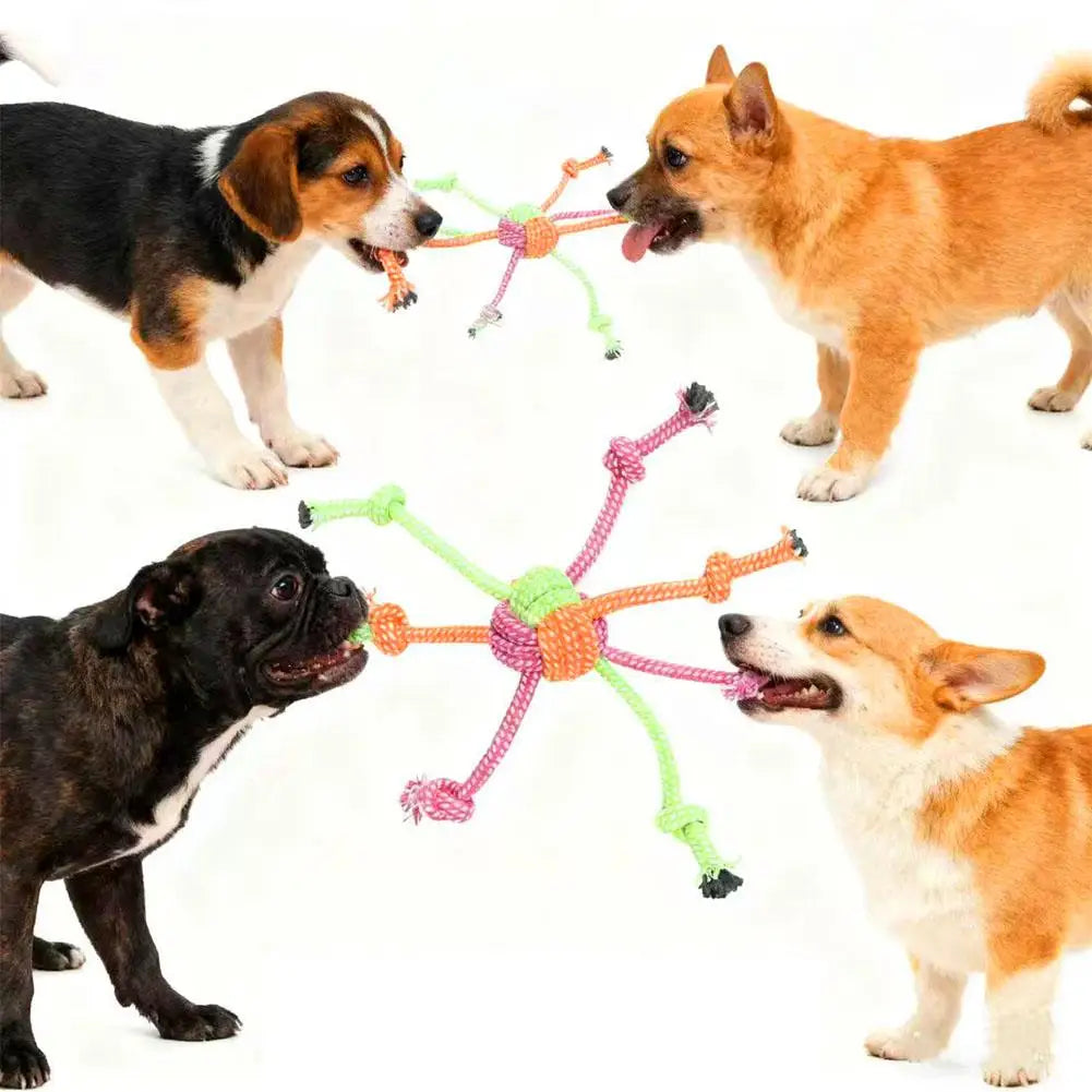 Jouet Corde Mini Résistant – Jeu & Santé Dentaire 🐶🪢💛