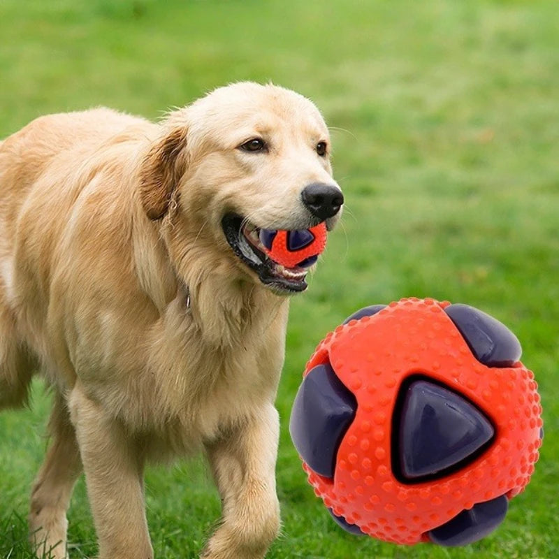 Balle Rebondissante Couineuse – Anti-Ennui & Dents Saines 🐶🎾