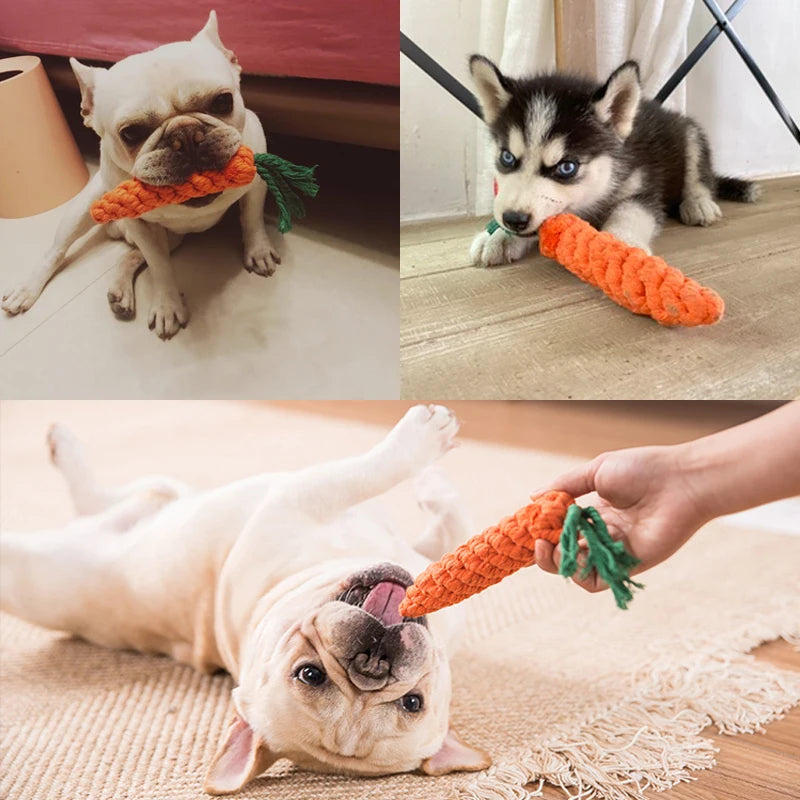 Jouet Corde Cartoon Tressée – Jeu & Dents Propres 🪢🐶💛
